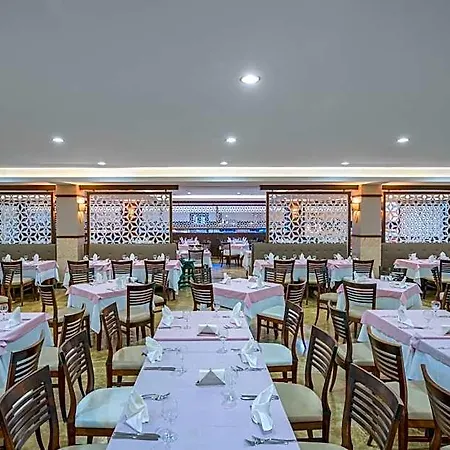Max Belek